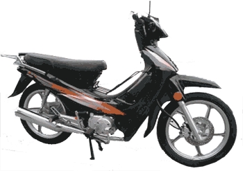 WY 50 QT - 5
